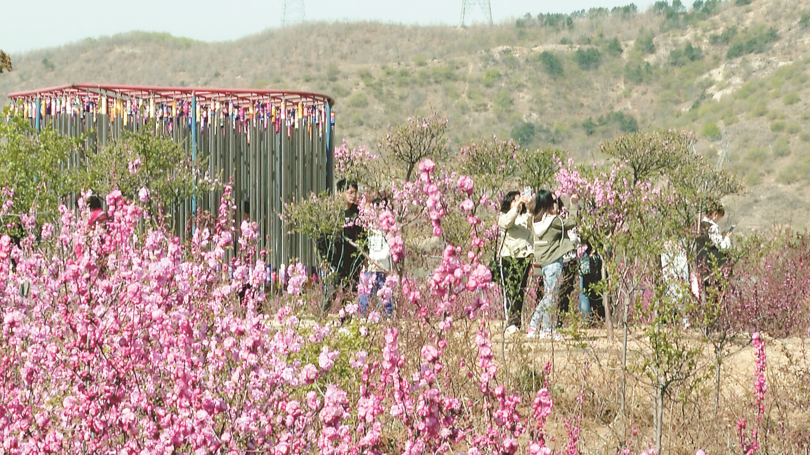 粉的海棠,白的李子花……日前,位于盖州市双台镇的营口芙蓉山旅游景区